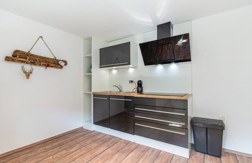 Seelbach Apartment | Apartment 'Ferienwohnung Schwarzwaldmädel' with Private Terrace, Private Garden and Wi-Fi
