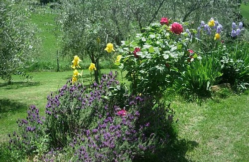 Serrungarina Cottage | apartment/flat - Serrungarina