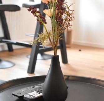 Goettingen Apartment | Apartment Grone 1