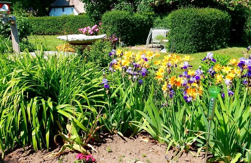 Trent Apartment | Apartment/Hof - FeWo WE 6402 Holiday u Fishing on Rügen-quiet location, Garden!