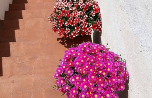 Augusta Apartment | Apartment In A Villa In Mediterranean Style, Distance To The Sea Mt 400