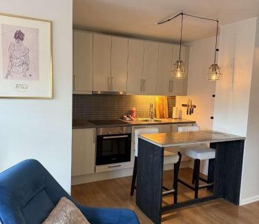 Kabelvag Apartment | Apartment in Kabelvåg, Lofoten
