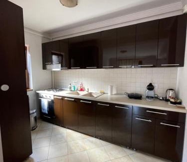 Calea Sever Bocu Apartment | Apartment in the Villa Northern Dreams #1 PARKING INCLUDED IN PRICE