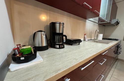 Calea Sever Bocu Apartment | Apartment in the Villa Northern Dreams #2 PARKING INCLUDED IN PRICE