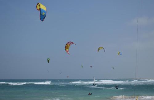 Santa Maria Apartment | Apartment | in Tropical Resort | pool | close to beach