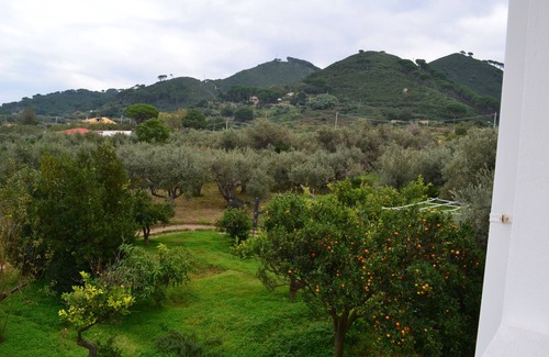 Province of Messina Apartment | Apartment in villa