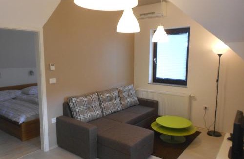 Cerknica Apartment | Apartment Knap