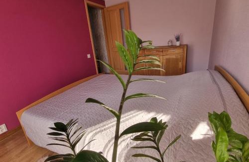 Kolka Apartment | Apartment Kurši