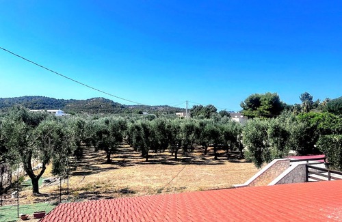 Montincello Apartment | Apartment 'La Mignola - Bilo 2' with Shared Garden, Wi-Fi and Air Conditioning