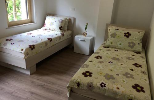 Tolmin Apartment | Apartment Lapanja