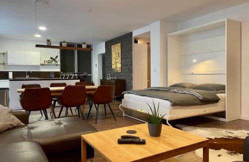 Zentrum-Nordwest Apartment | Apartment Leipzig Waldstraßenviertel Loft Terrasse, RedBull Arena