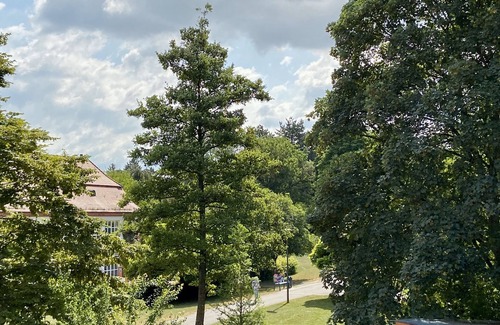 Bad Mingolsheim Apartment | Apartment 'Milena' with Balcony and Wi-Fi
