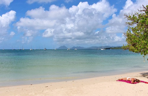 Sainte-Anne Apartment | Apartment Mimosa (500 m from the Pointe Marin BEACH, with SWIMMING POOL)