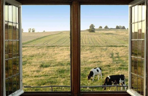 Zakrzewo Cottage | Apartment near Polish Coast with Family Amenities