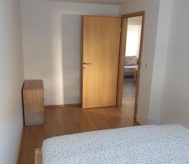 Trzic Apartment | Apartment old house Koren