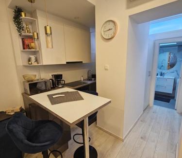 Rijeka Apartment | Apartment Oliver
