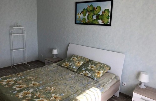 Rodina Apartment | Apartment on Vladimirskaya 10
