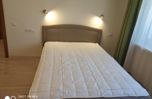 Zvezdnoe Apartment | Apartment Pulkovo