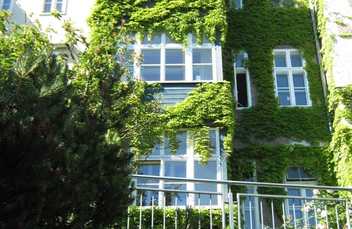 Wahring Apartment | Apartment Retro Vienna