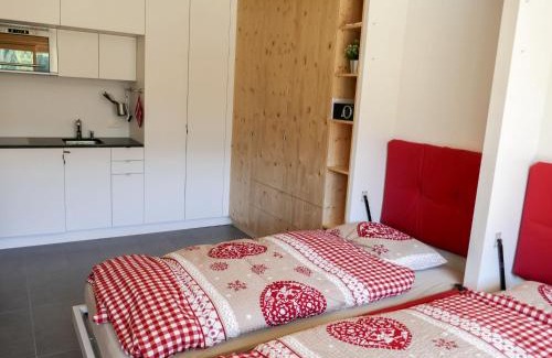 Noveli Apartment | Apartment Rosablanche D52 by Interhome