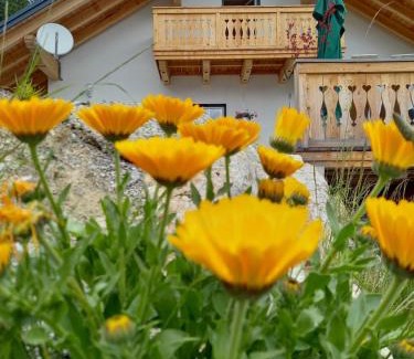 Grosssoelk Apartment | Apartment Schönwetter