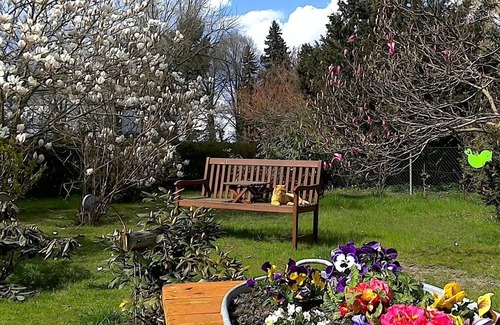 Krienke Apartment | Apartment 'Schiemann' with Private Terrace, Private Garden and Wi-Fi