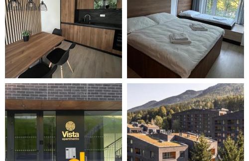 Dolni Morava Apartment | Apartment SKY