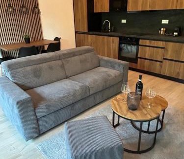 Dolni Morava Apartment | Apartment SKY