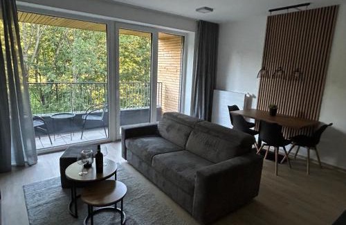 Dolni Morava Apartment | Apartment SKY