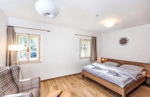 Horni Plana Apartment | Apartment Slunečná by Interhome