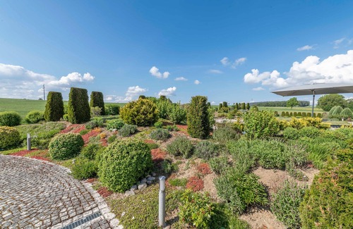 Eckersdorf Apartment | Apartment Sophienberg - Sana e Salva