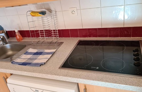 Puy-Saint-Vincent Apartment | APARTMENT south-west facing PIED DES PISTES + private parking