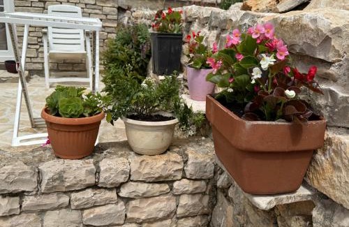 Rukavac Apartment | Apartment South Side, Vis