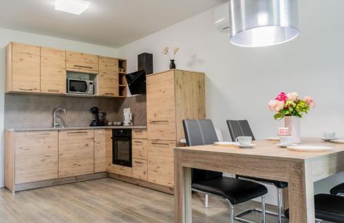 Moravske Toplice Apartment | Apartment Swim and Relax