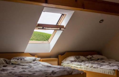 Podcetrtek Apartment | Apartment Velbana Gorca