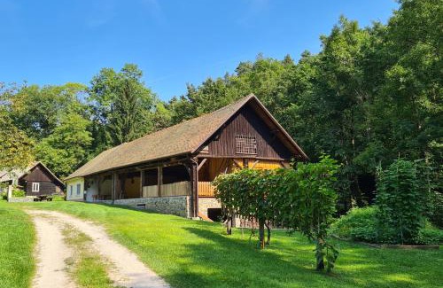 Slovenska Bistrica Apartment | Apartment Vintgar