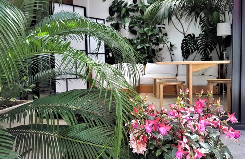 Monti Apartment | Apartment Virgilio in Monti, a true oasis of tranquility in the center of Rome