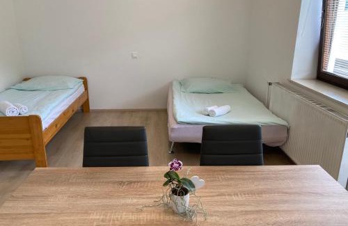 Praprotna Polica House | Apartment Vrtacnik