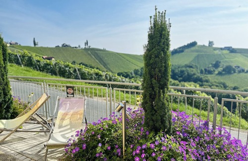 Glanz an der Weinstrasse Apartment | Apartment Weingartenblick