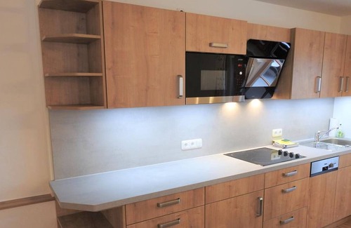 Hirschegg Apartment | Apartment Wildental - 2 bedrooms - Haus Elisabeth - Family Pieraert
