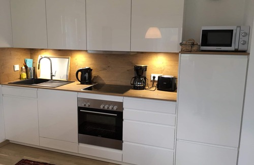 Traunkirchen Apartment | Apartment with a large terrace