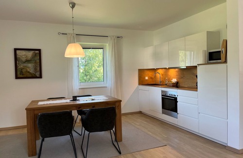Traunkirchen Apartment | Apartment with a large terrace
