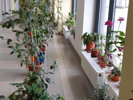 Chelyabinsk Apartment | Apartment Your welcome