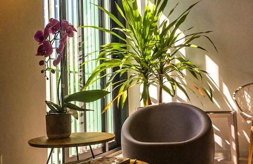 Marilia Apartment | APARTMENTFORSTAY 33A - FRAGATA CENTRAl