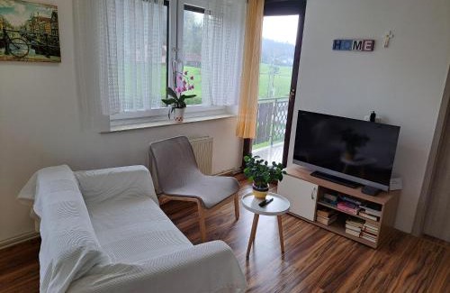 Lukovica Apartment | Apartments Bukor with seasonal pool