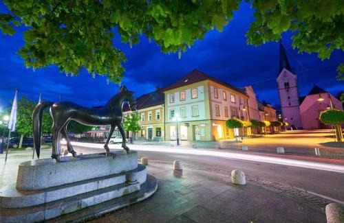 Slovenj Gradec Apartment | Apartments Barbra - Robinson life