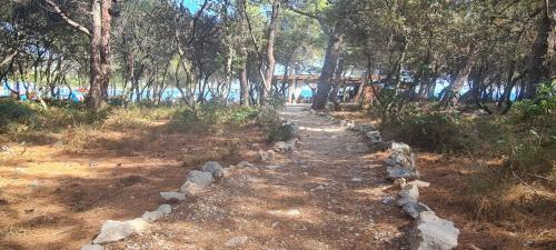 Simuni Apartment | Apartments BEVANDA