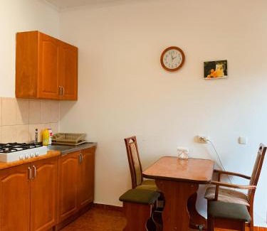 Mukachevo Apartment | Apartments "Domovik" Beljaeva,5а