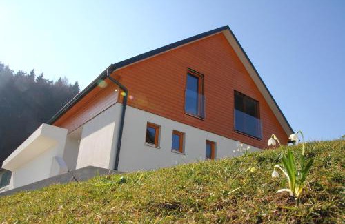 Medvode House | Apartments Domovoj