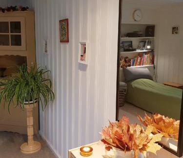 Asensbruk Apartment | Apartments "Ecohouse" nearby Håverud Dalsland Sweden
